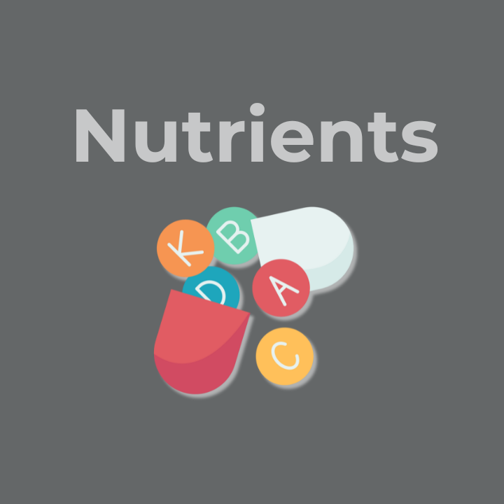 nutrients dense foods